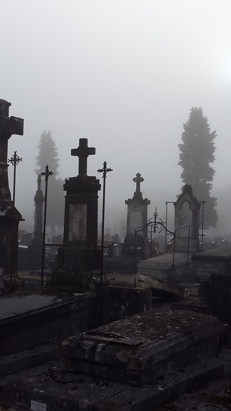 Le Cimetière PINK NANA X LA PETITE BOURGEOISE 👻